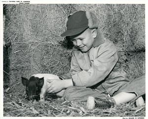 Image description is not available for PHO-4-W689-339